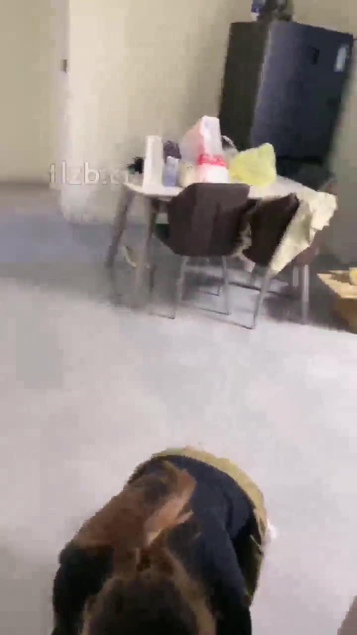 套路直播小雅s红绿灯调教贱狗合集【11V】 (9)