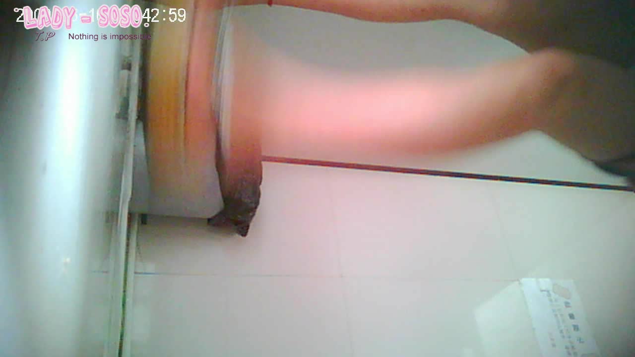 KC全景厕拍正版 soso系列  孕妇嫩妹阴部一览无余【300v】 (155)