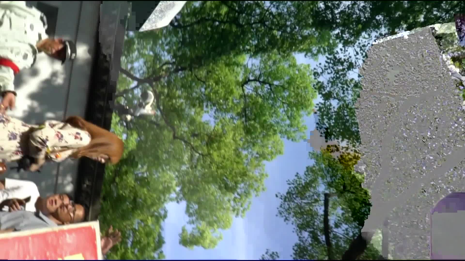 街拍CD】【顶点大师抄底】商场抄底 好多精品的丝袜妹子 丁字内内诱惑十足【130v】 (79)