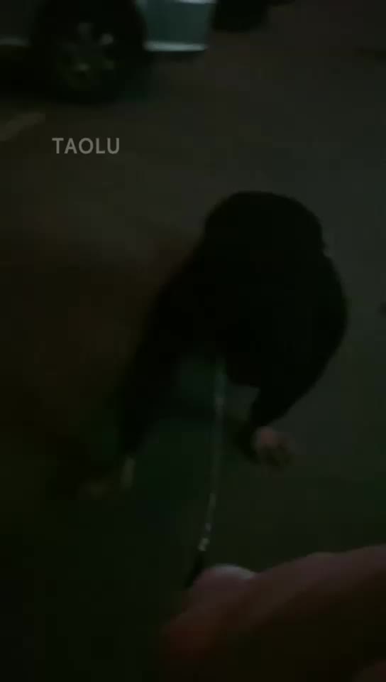 狠辣女王❤️樱桃❤️ 开发闺蜜 家奴伺候吃饭 黑丝红绿灯 女仆店真实开发 强制圣水 【47V】 (18)