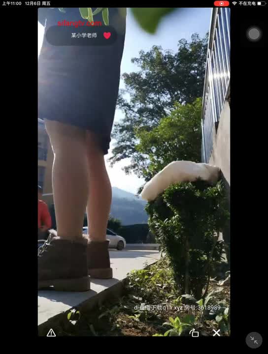 【跟公公偷情~某小学老师】婆婆一出去公媳就自由活动啪啪~某小学老师【28V】11 (11)