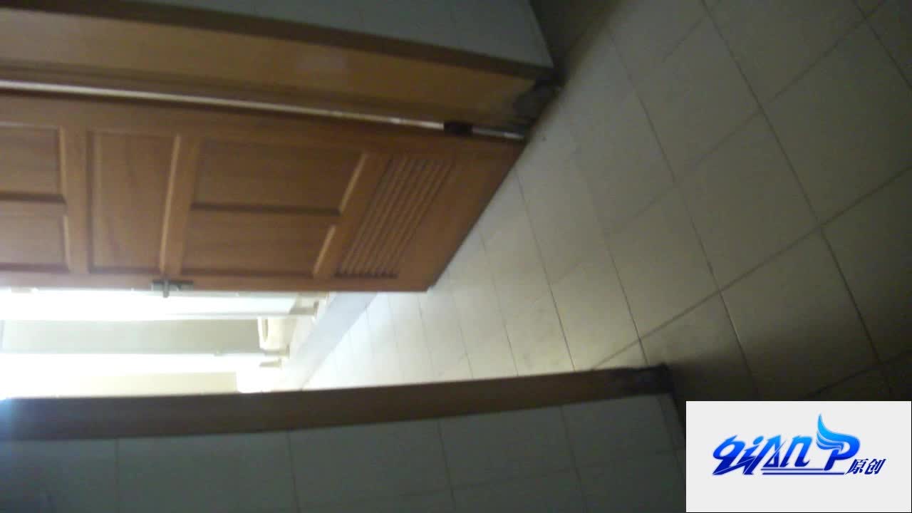Qian-P系列 商场厕拍合集，超清特写 阴毛阴唇清晰可见 好多高颜值 白领 学生妹【600v】 (1)