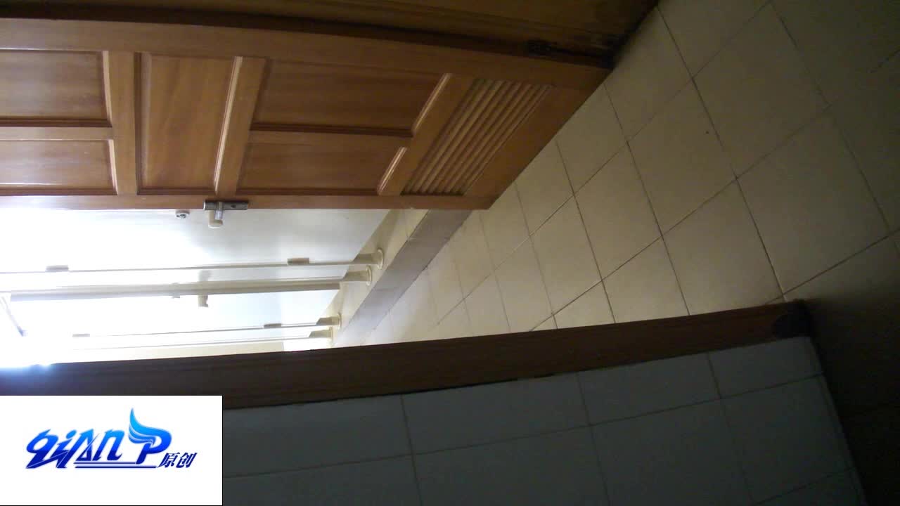 Qian-P系列 商场厕拍合集，超清特写 阴毛阴唇清晰可见 好多高颜值 白领 学生妹【600v】 (2)