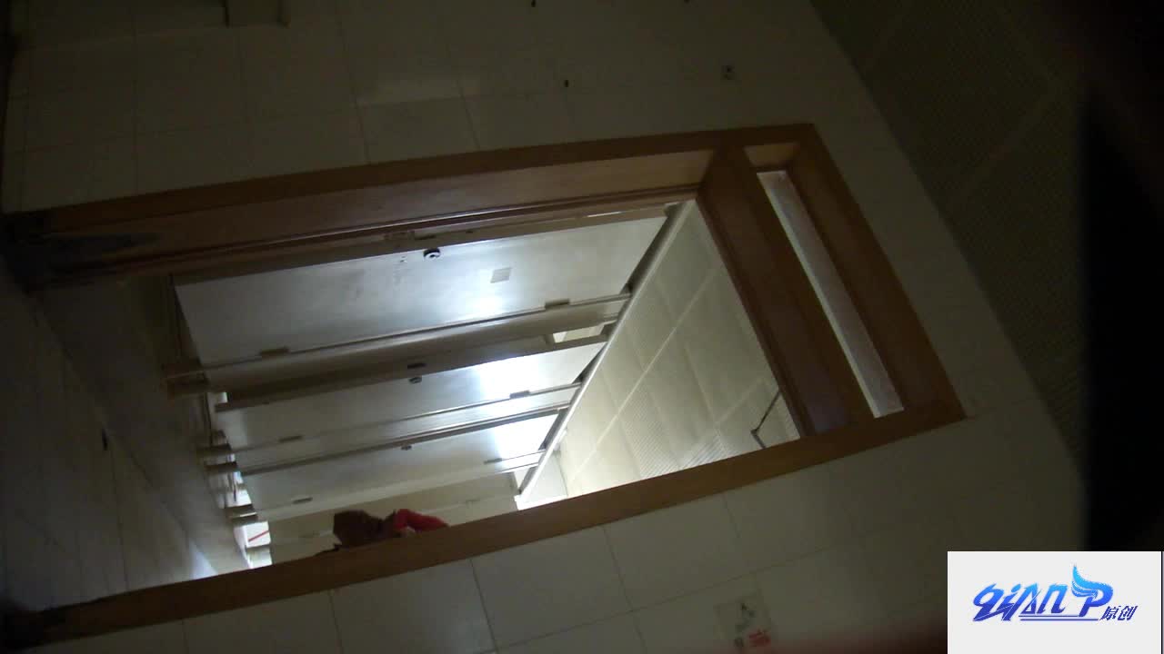 Qian-P系列 商场厕拍合集，超清特写 阴毛阴唇清晰可见 好多高颜值 白领 学生妹【600v】 (1)