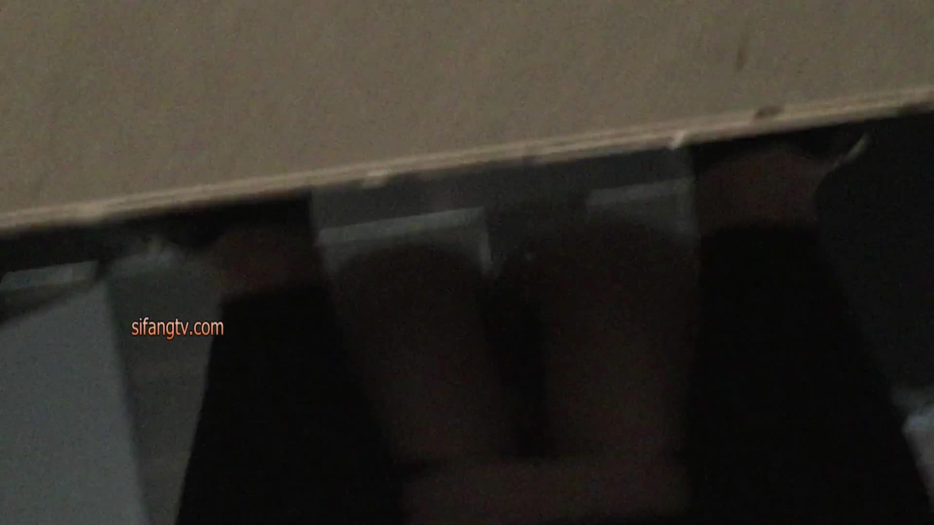 众多极品视频整理厕拍  小逼嘘嘘  各种肥美鲍鱼【140V】 (63)