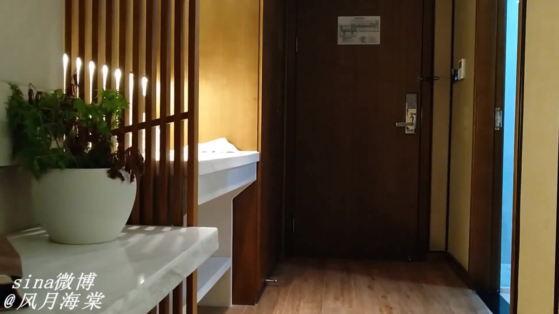 91风月海棠 约炮 全网最全合集 无第三方水印超清原版【14v】 (12)