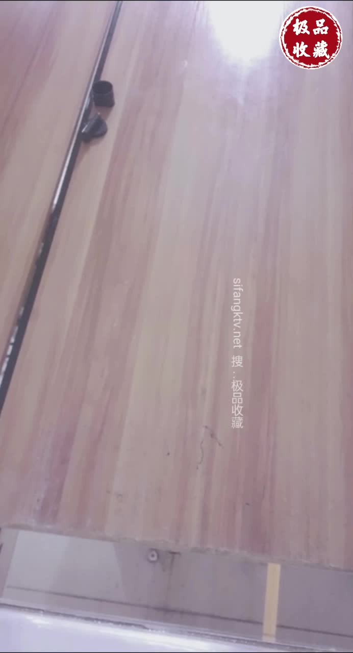 众多极品视频整理厕拍  小逼嘘嘘  各种肥美鲍鱼【140V】 (9)