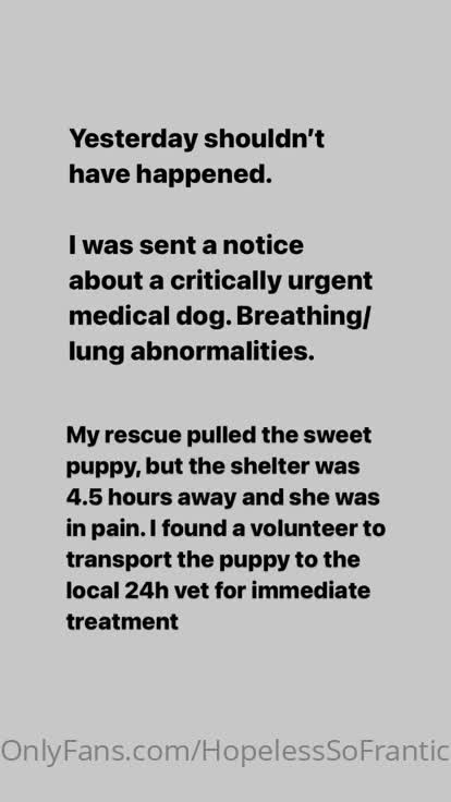 【自整理】练习瑜伽的苗条少女把紧身裤剪个破洞做一字马劈叉，这下不勒小逼了！【203V】 (150)