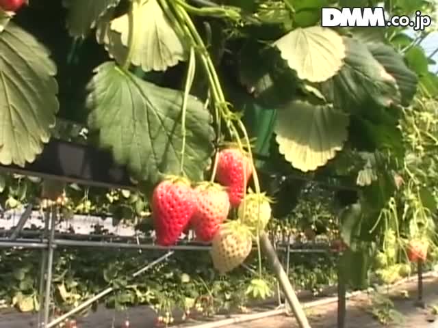 FRD-015(118frd015)[Prestige]初体験Hモード［ハジメテダカラデキルコト］松野ゆい