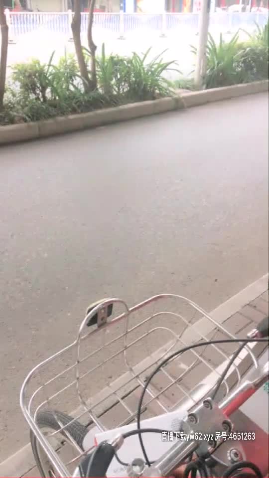 极品颜值骚货【小母狗很骚哦】露脸全裸露出口交【100v】 (14)