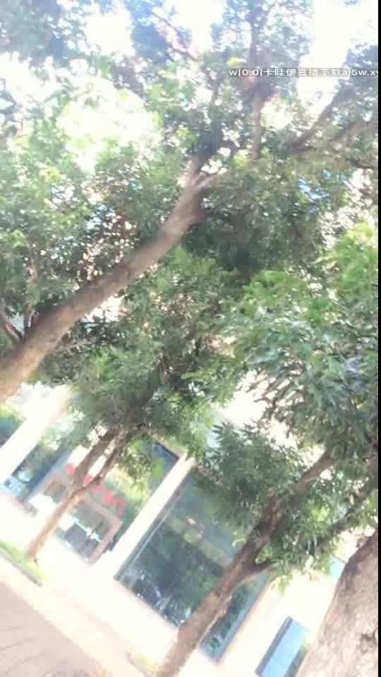 露出主播 网吧露奶 口交野战【小母狗很骚】公园商场 露出 WC自慰潮喷【80v】 (27)