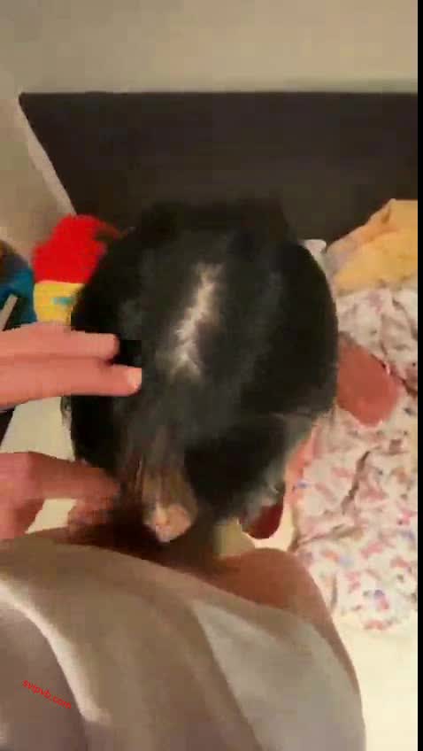 顶级鉴黄电报群 精选上百位顶级美女性爱啪啪【438V】 (397)