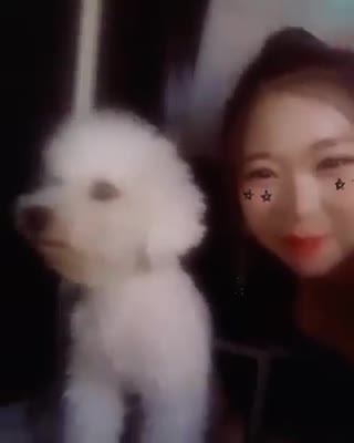 19628251_1081362478662954_8370775931442167808_n