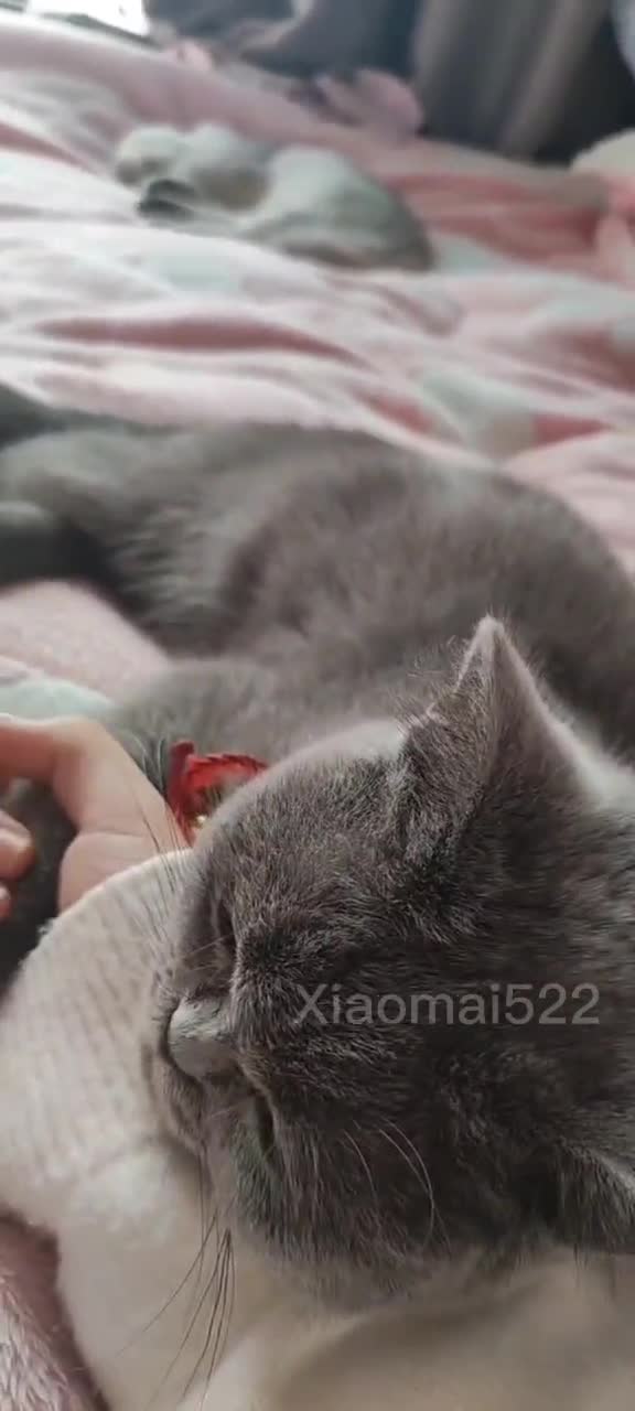 V-⁵⁵⁵小埋长不高ˡᵃ@Xiaomai522 (113)