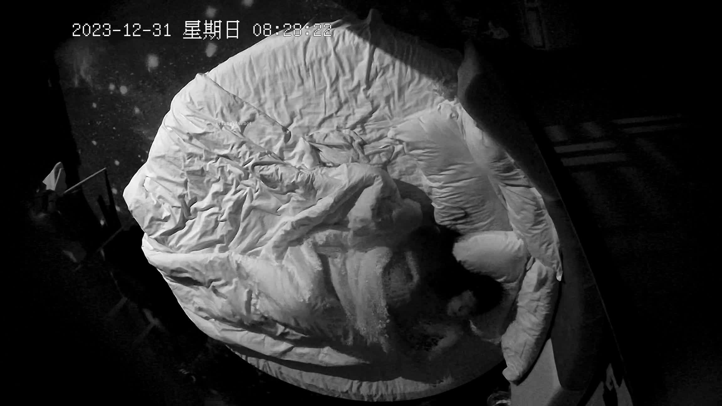 新年 最新酒店偷拍 大长腿学生情侣各种体位操逼 来电话时也要接着干！【11v】 (6)