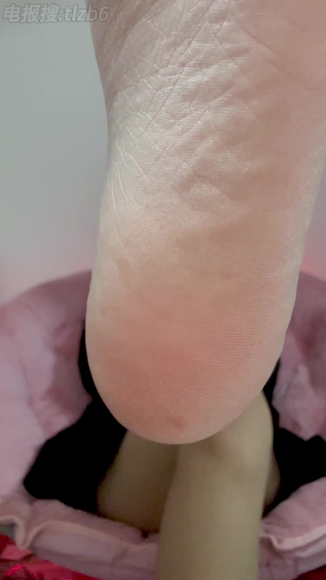 芃芃大人抖音会员群资源