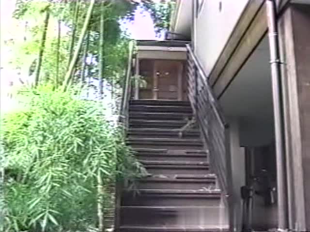 15320_Japanese Angel Kawai No 27 青山レナ