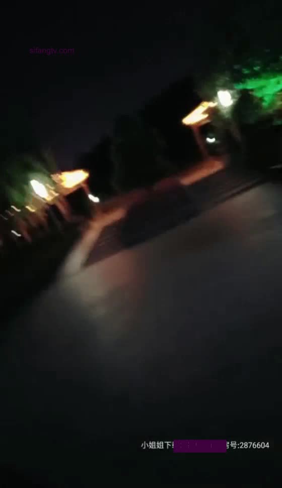 户外跳蛋【佛系少女琪宝】极品美女户外跳蛋喷水~在家大秀【39V】 (35)