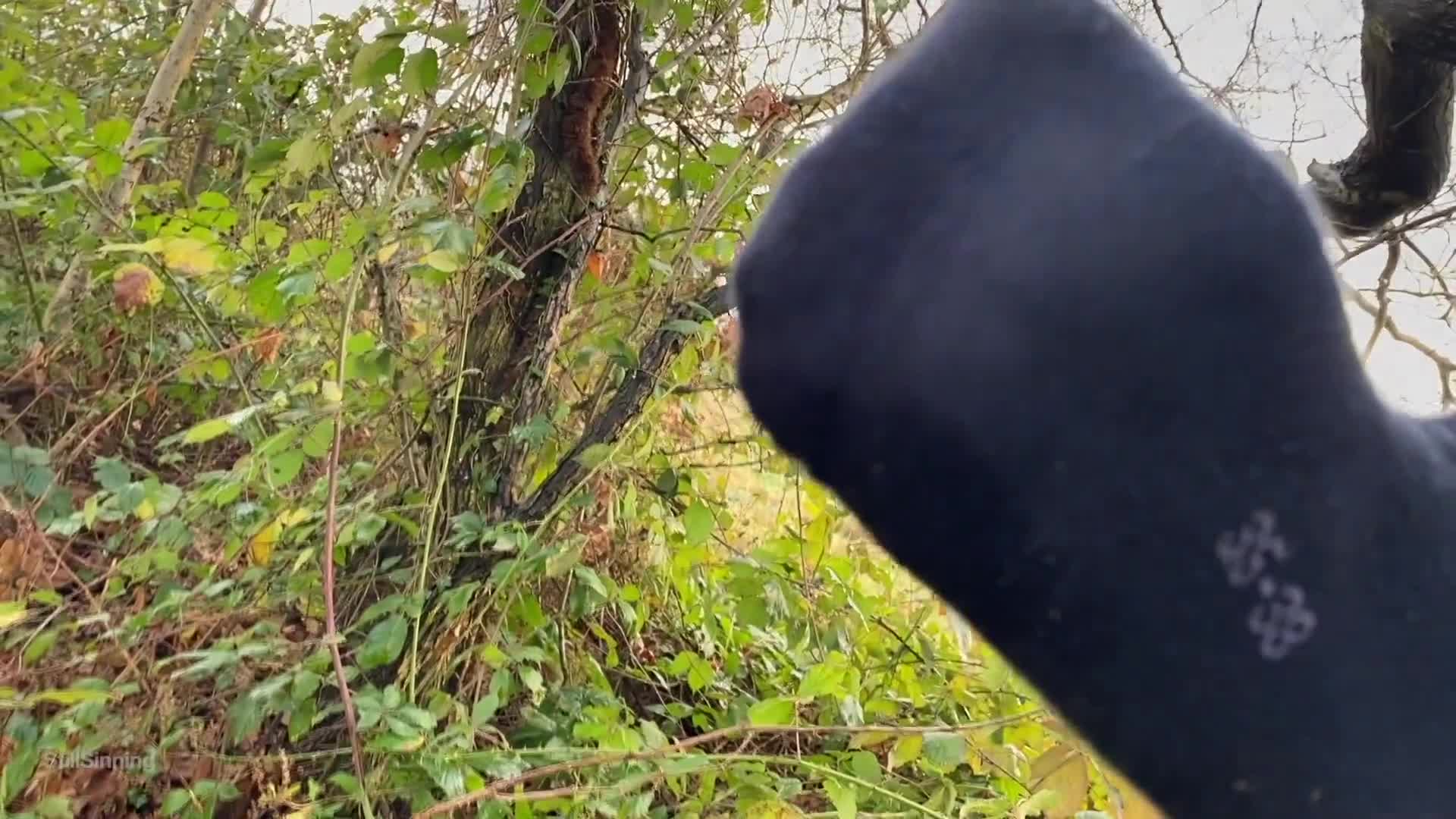 DIRTY Surprise SOCKJOB while Hiking. Naughty Teen 