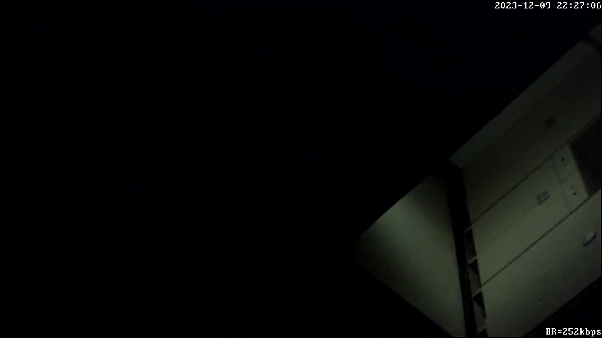 最新酒店偷拍！少妇偷情啪啪 情趣衣服 SM皮鞭增加情趣 【100v】 (81)