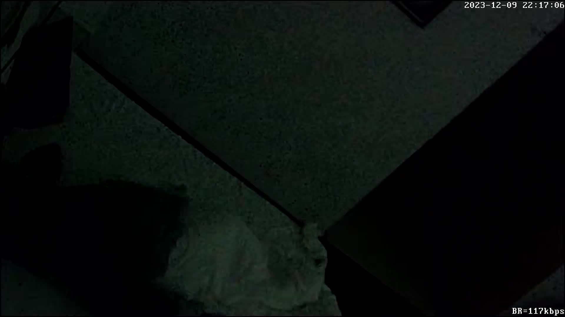 最新酒店偷拍！少妇偷情啪啪 情趣衣服 SM皮鞭增加情趣 【100v】 (80)