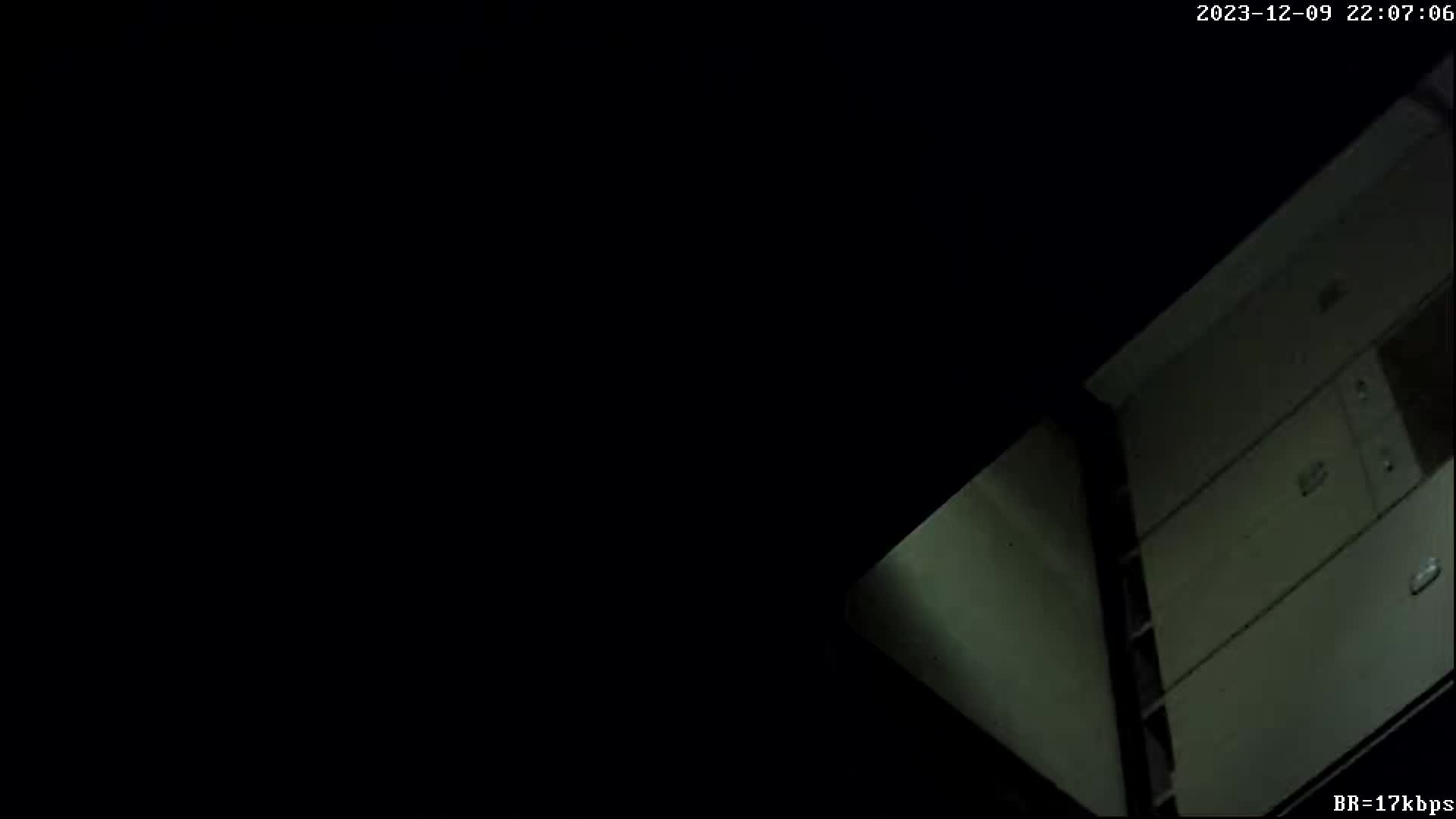 最新酒店偷拍！少妇偷情啪啪 情趣衣服 SM皮鞭增加情趣 【100v】 (79)