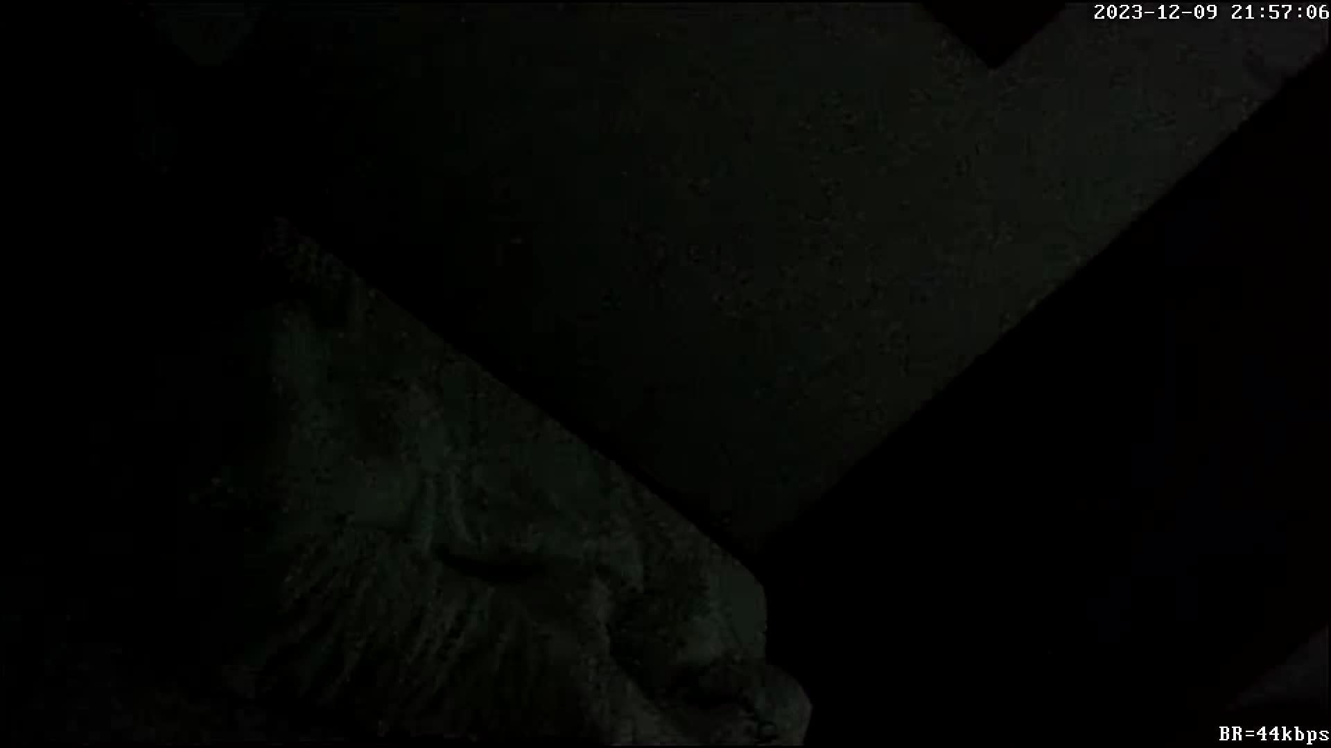 最新酒店偷拍！少妇偷情啪啪 情趣衣服 SM皮鞭增加情趣 【100v】 (78)