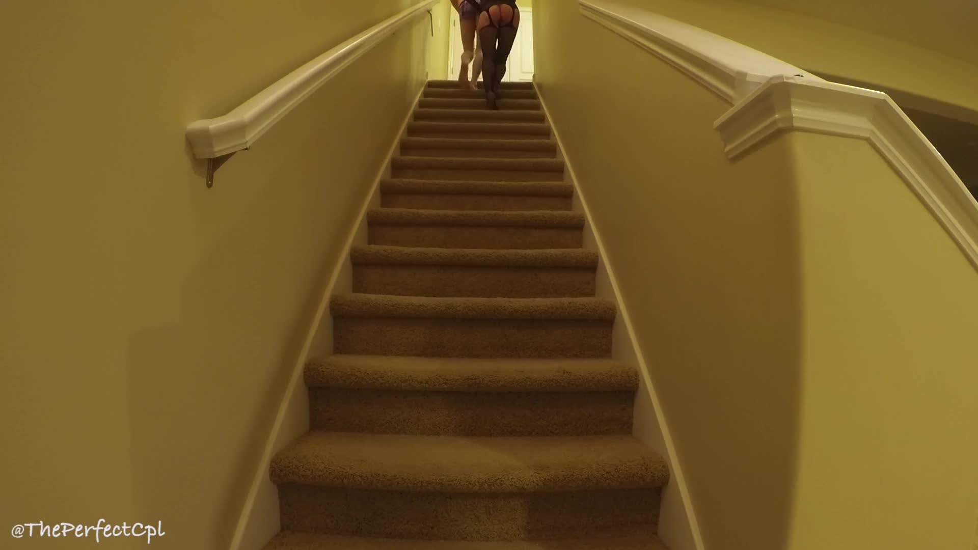 ThePerfectCpl爬到山顶干屁眼，大雪纷飞干屁眼，什么都阻挡不了大屌男干女朋友屁眼超清合集【28v】 (27)