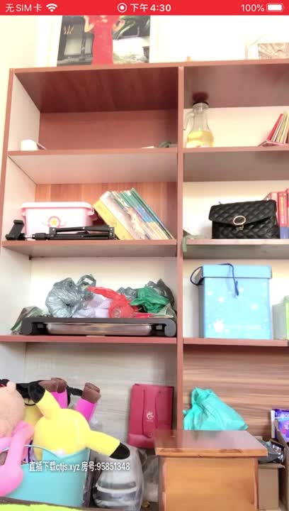 【嘉嘉有点不OK】收费 露奶 露逼 裸舞诱惑【21v】 (11)