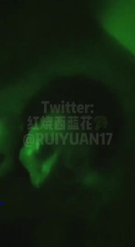 红烧西蓝花2 (114)