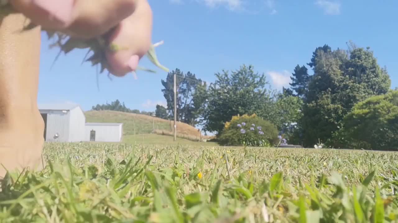 Grass Soles - Feet asmr (ph5c744dfa005e8)