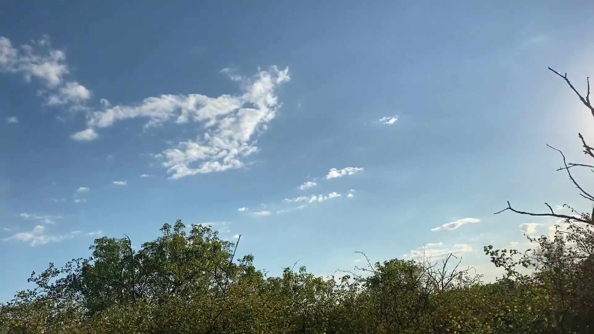 Первое свидание с девушкой из Тиндера закончилось сексом на природе! POV (ph5f33be6fe68a3)