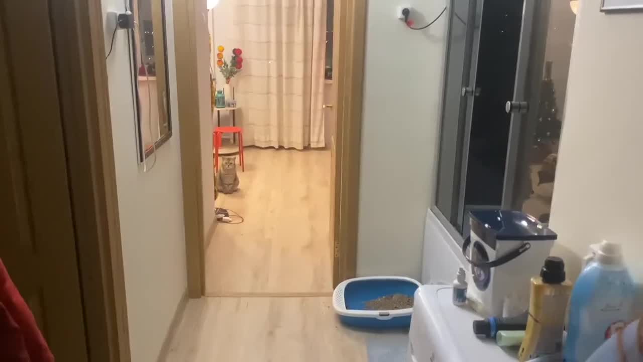 masturbation while smoking (ph62b367be09747)