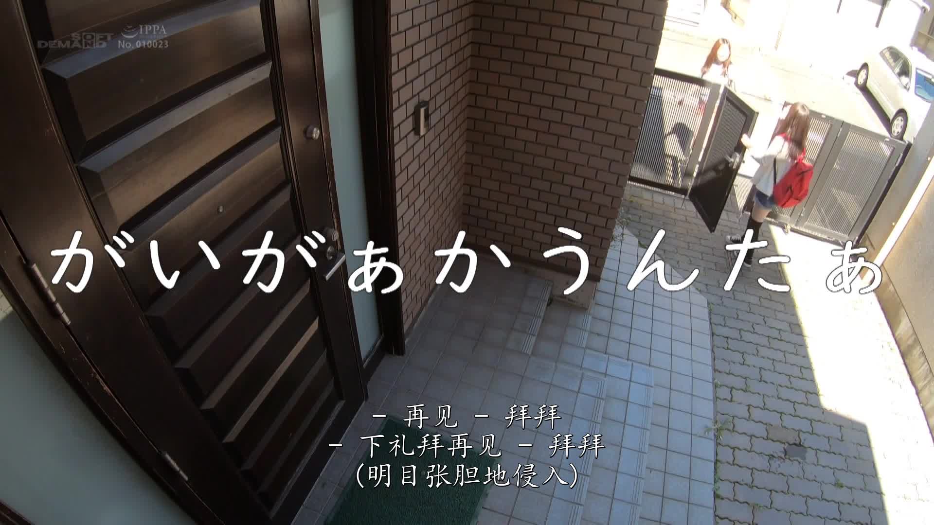 2048.cc - SDDE-608-C