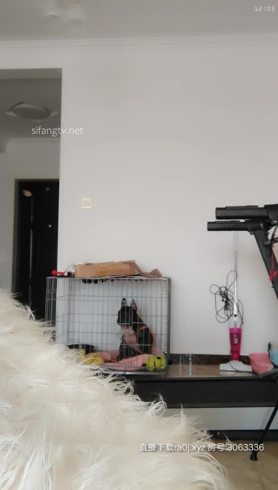 丝袜御姐【丝袜控舔我脚】密码房露脸足交~道具自慰【40V】 (16)