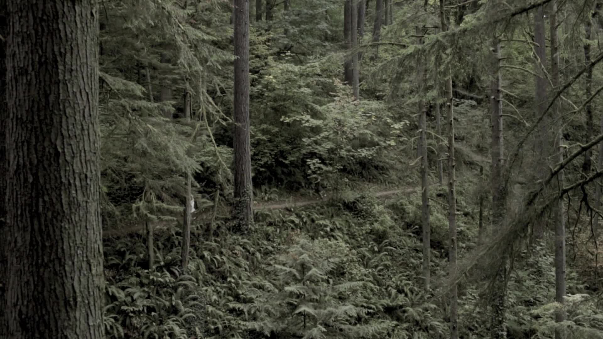 forplayfilms.22.11.18.protea.and.sockie.into.the.wild