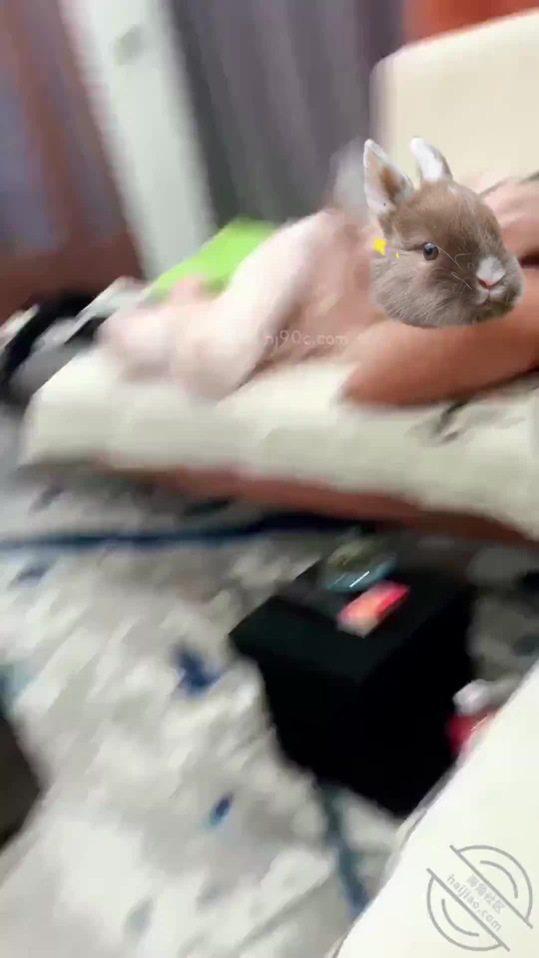 操了妈和姐（44）姐说在内射就永远不让我操了，如果怀孕就弄死我[窝边操]