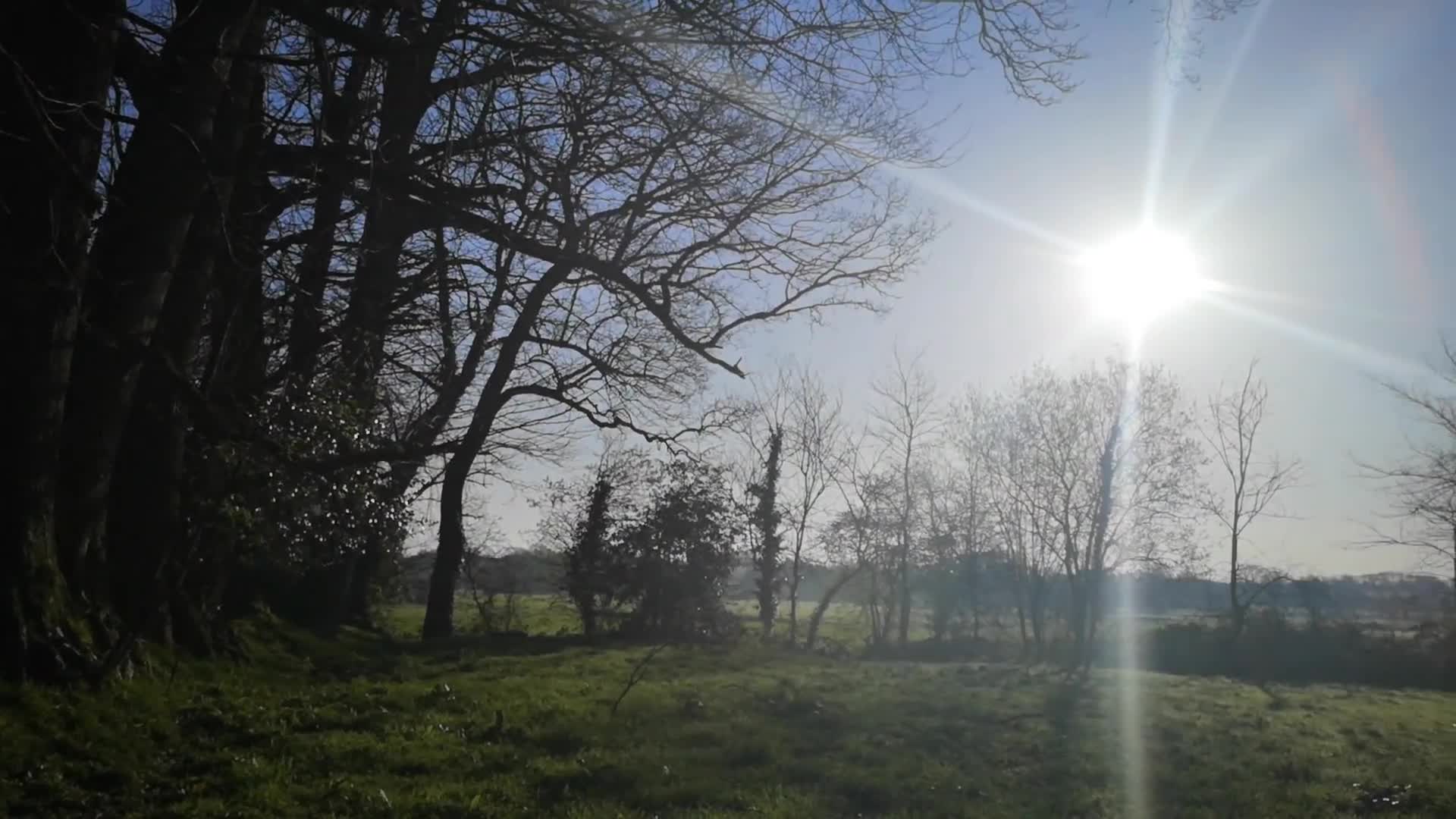 0033 - Confinement avec SOLVEIG： jour 8 - super orgasme au soleil (ph5e7a485fd956e)