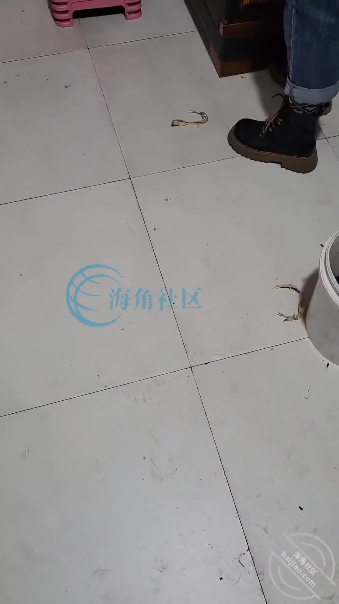 二十二）生二姐的气，不让出去玩，二姐妥协陪我 下[我的大白二姐]