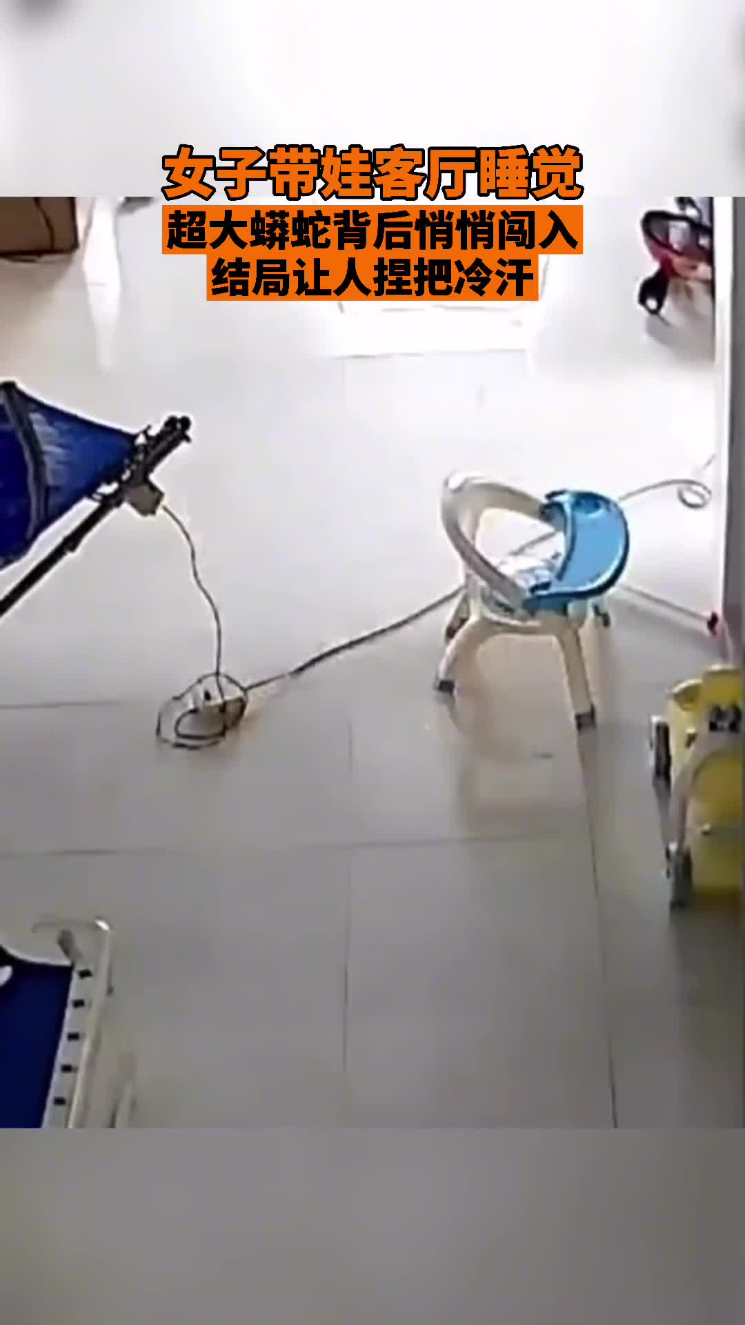 女子带娃客厅睡觉，超大蟒蛇背后悄悄闯入