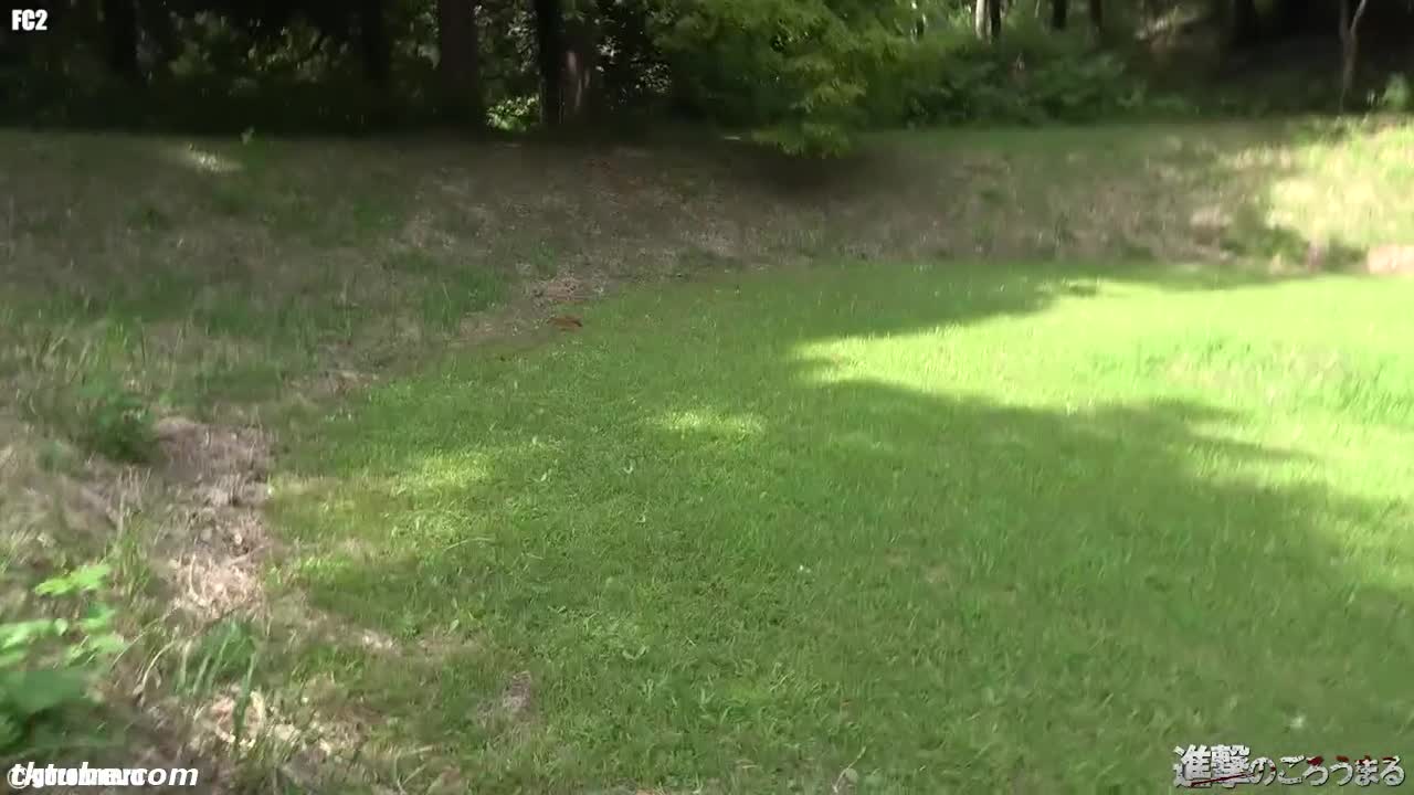 FC2-PPV-2272808【個撮56】完全顔出し20歳合法ロリパイパンせりか④野外露出後に連続中出しからお掃除