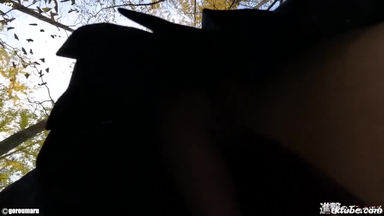 FC2-PPV-2452116【個撮62】完全顔出し県立K③超ロリスジパイパン②野外露出と連続中出しから何度も再注入後お掃除