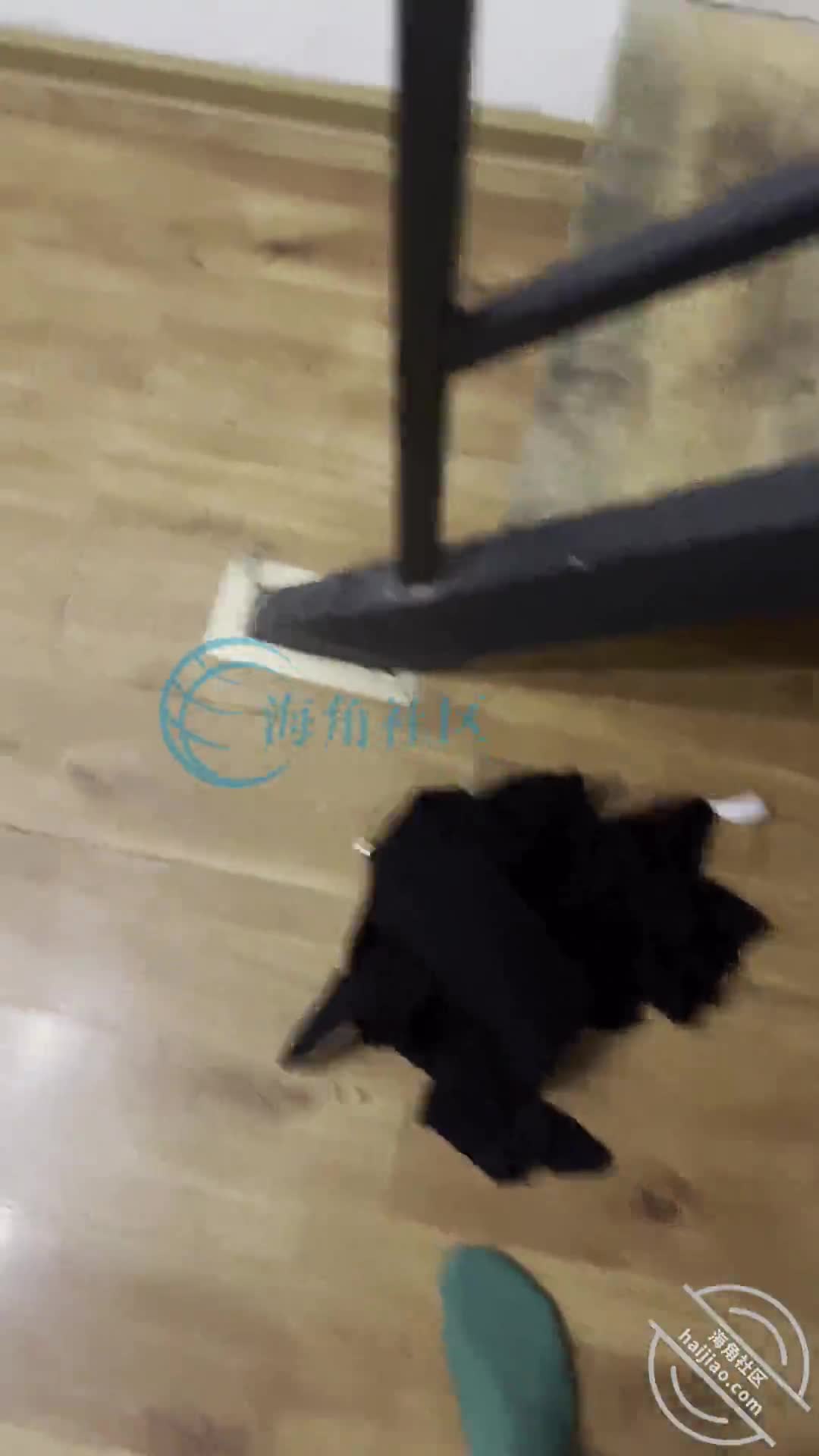 老婆怀孕了（25）强奸岳母 狂扇奶子内射 岳母痛哭流涕[海角_21951510]