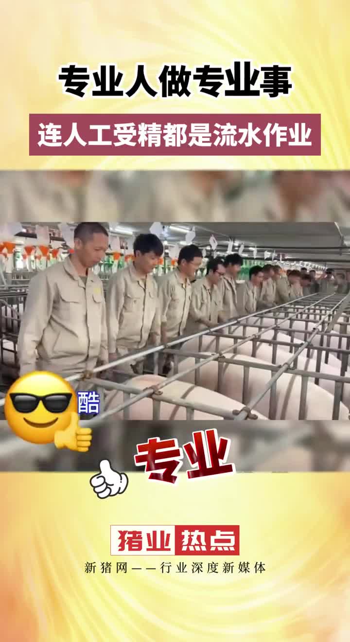 这些猪崽生下来会不会像他们