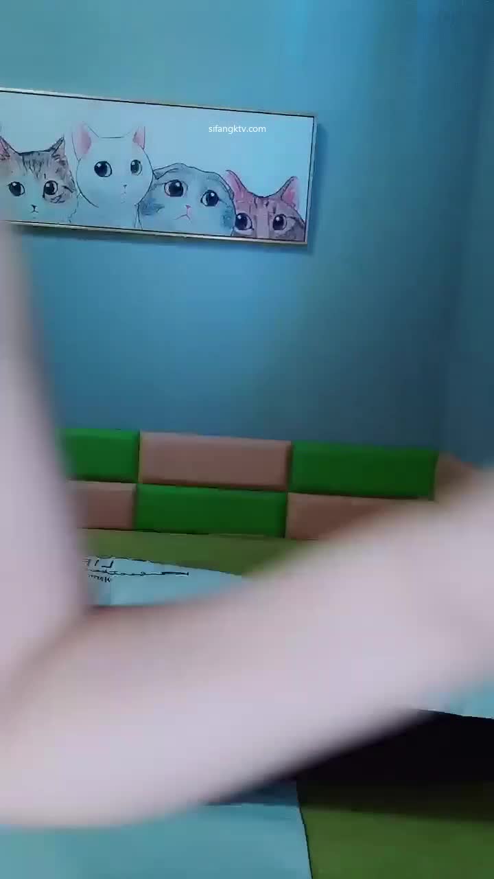 FormatFactoryPart5(2)