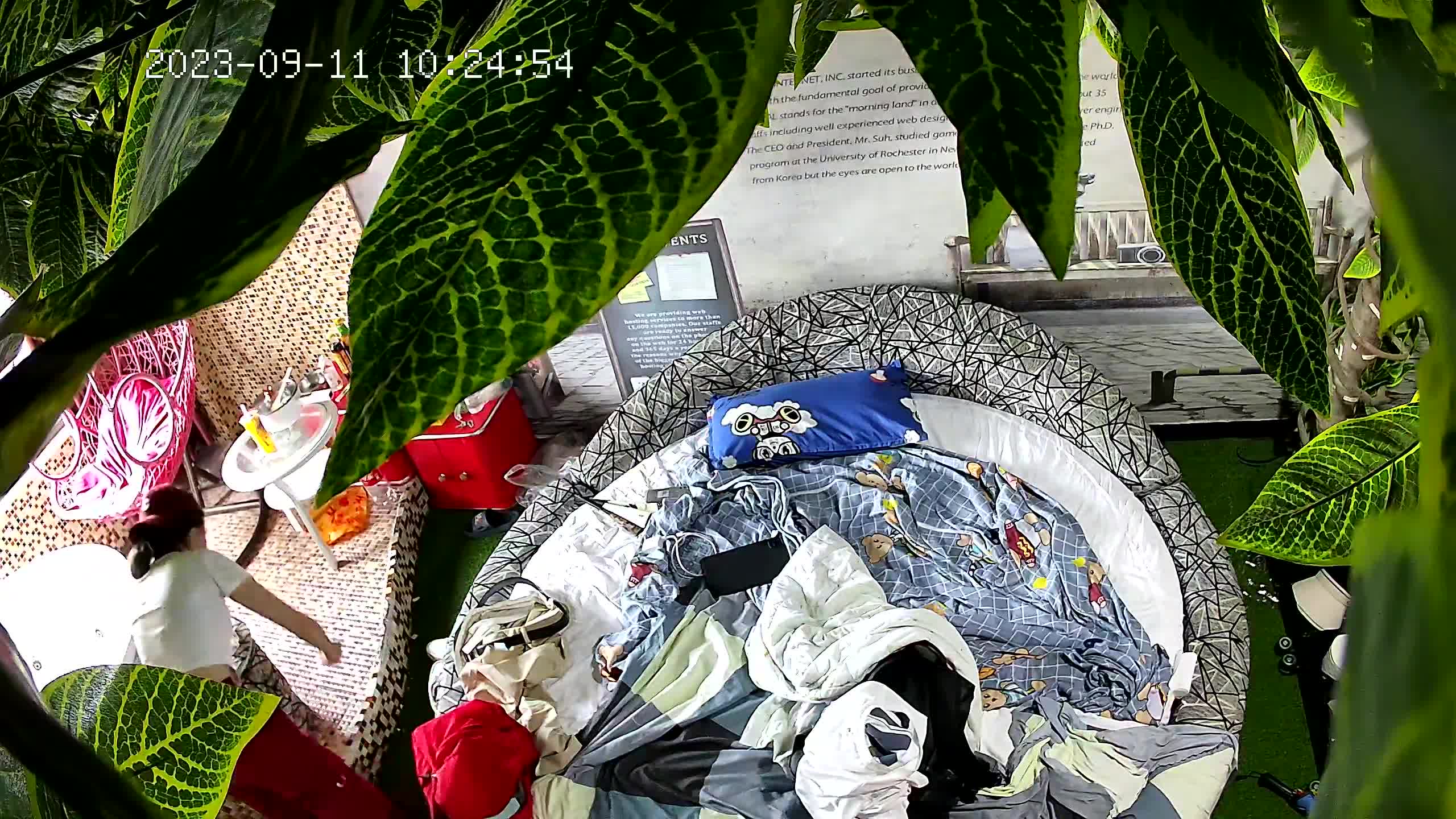 TL-IPC14CH_50-72_20230914_19.50.54.122