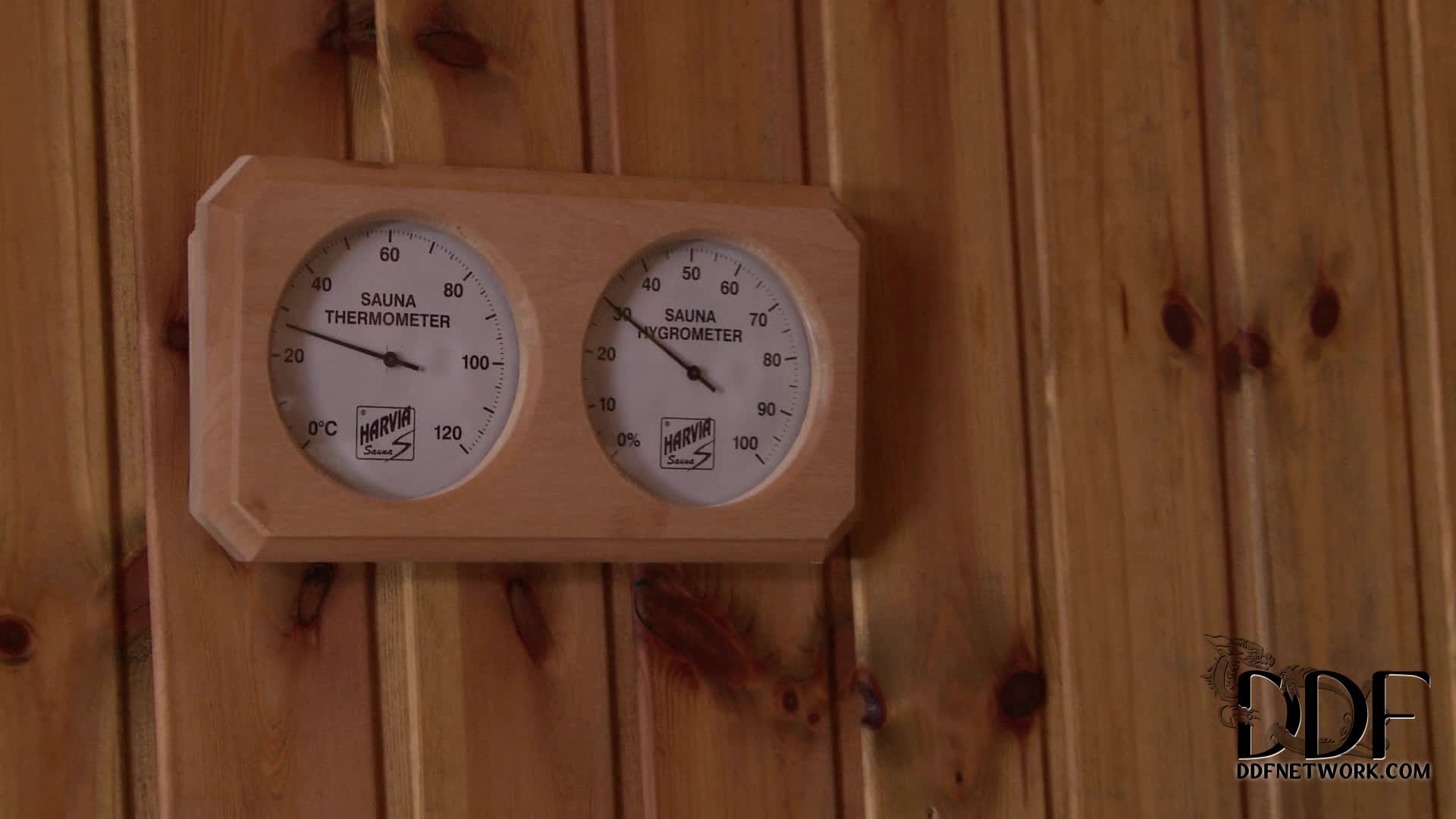 ddfb.14.02.12.angel.wicky