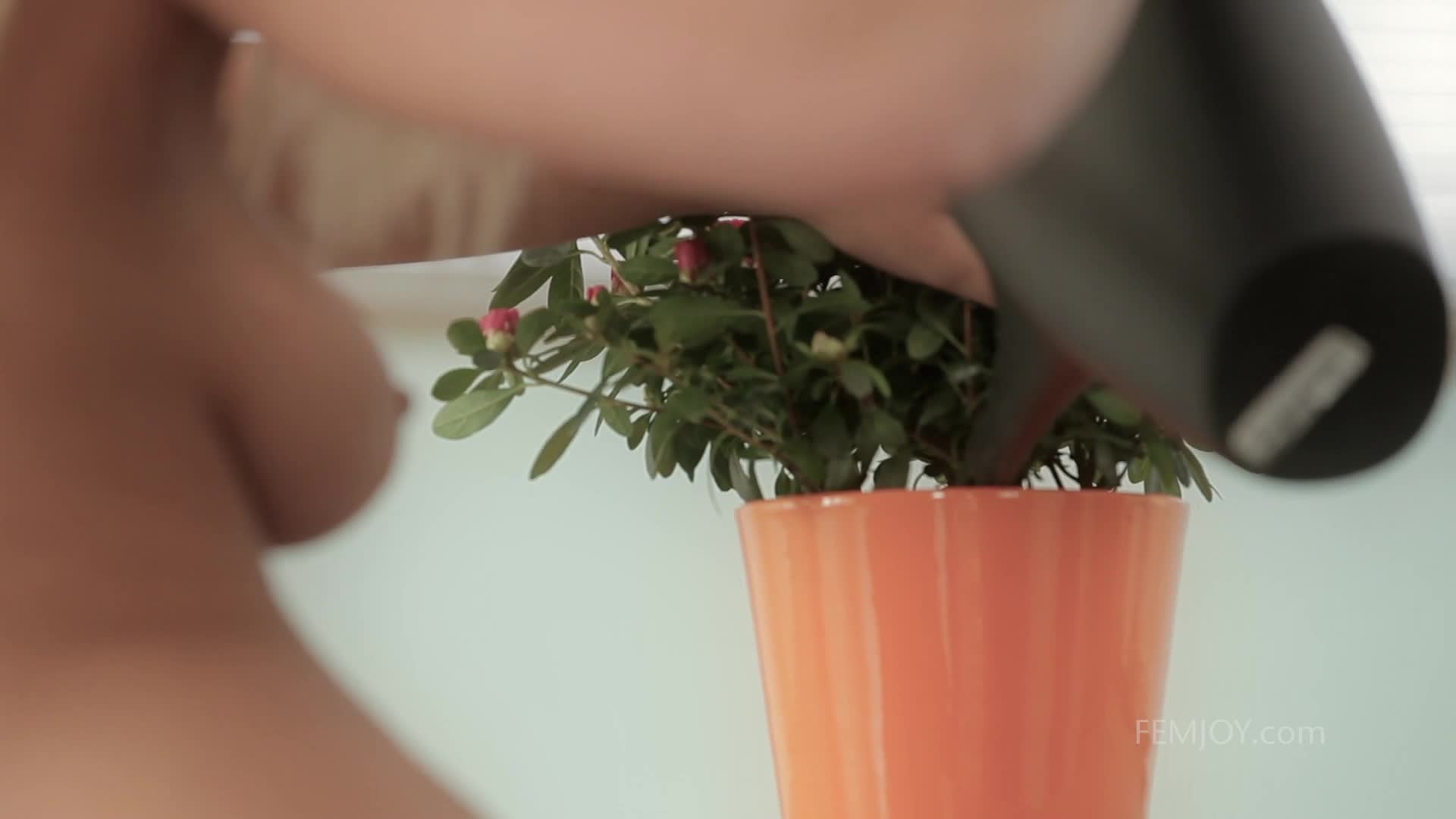 femjoy.19.02.16.miela.watering.flowers