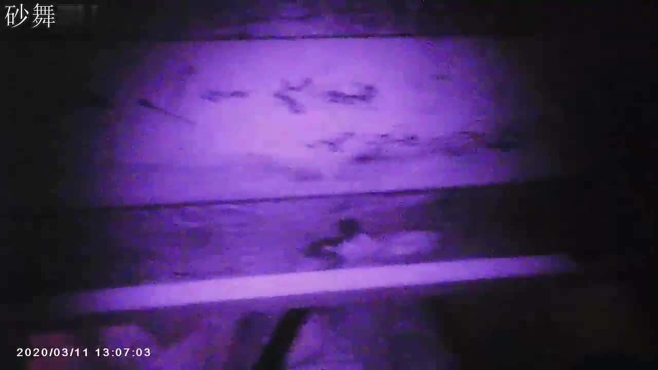 昆明砂舞厅视频10分钟-砂舞5