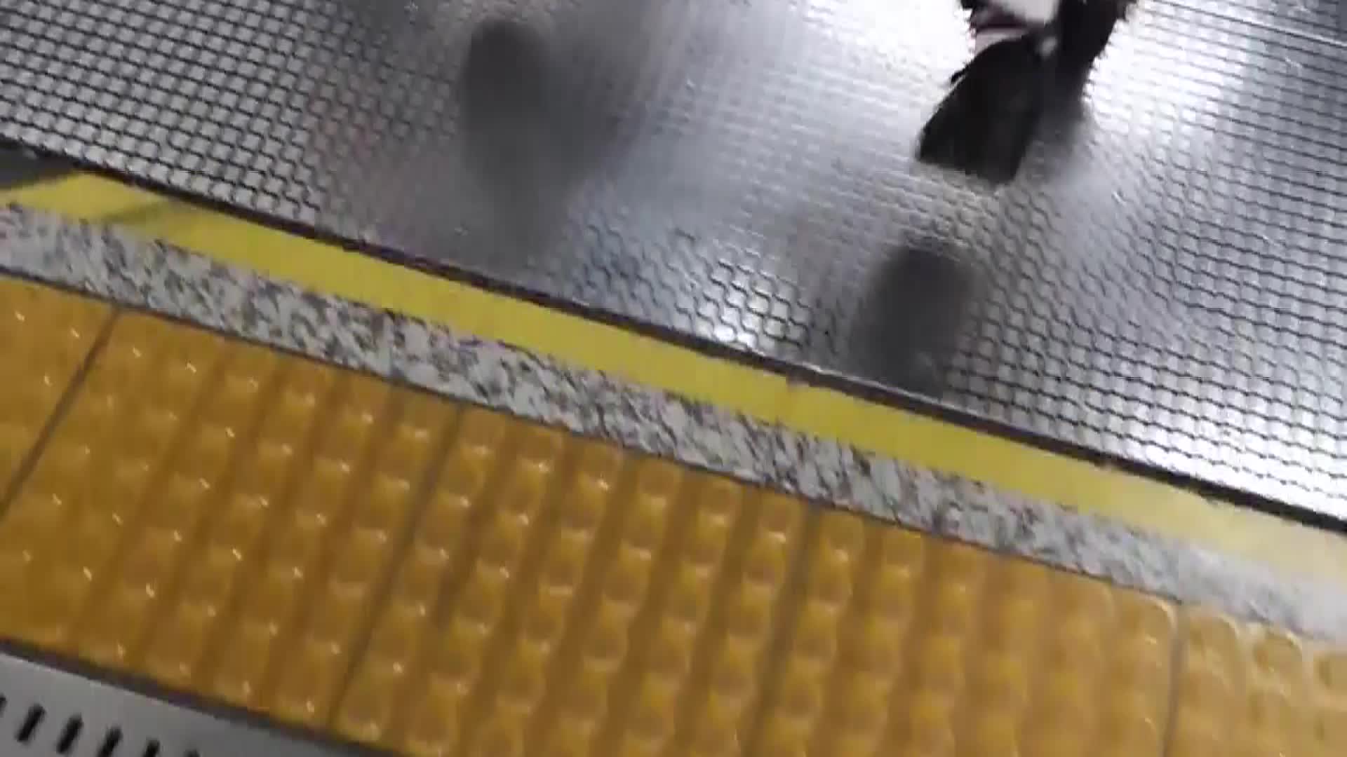 白丝二次元掀裙.mov